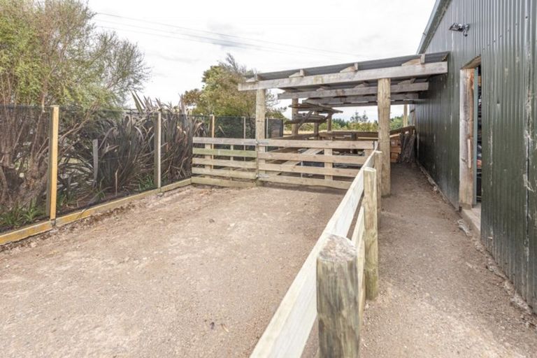 Photo of property in 162 Reynolds Road, Ratana, Whanganui, 4581