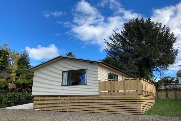 Photo of property in 91c Arapuni Street, Putaruru, 3411