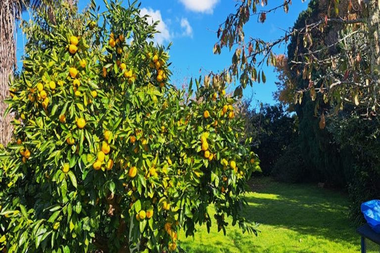 Photo of property in 70 Thames Road, Paeroa, 3600