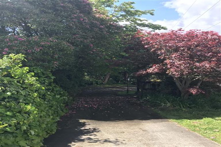 Photo of property in 51 Manson Street, Gate Pa, Tauranga, 3112