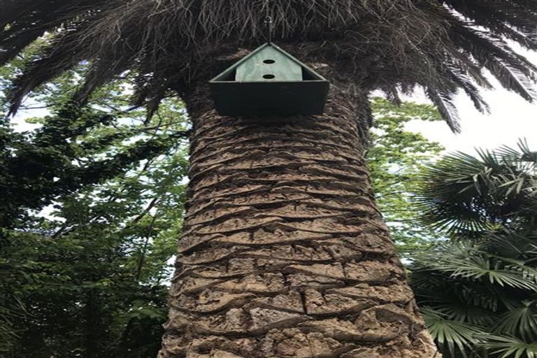 Photo of property in 51 Manson Street, Gate Pa, Tauranga, 3112