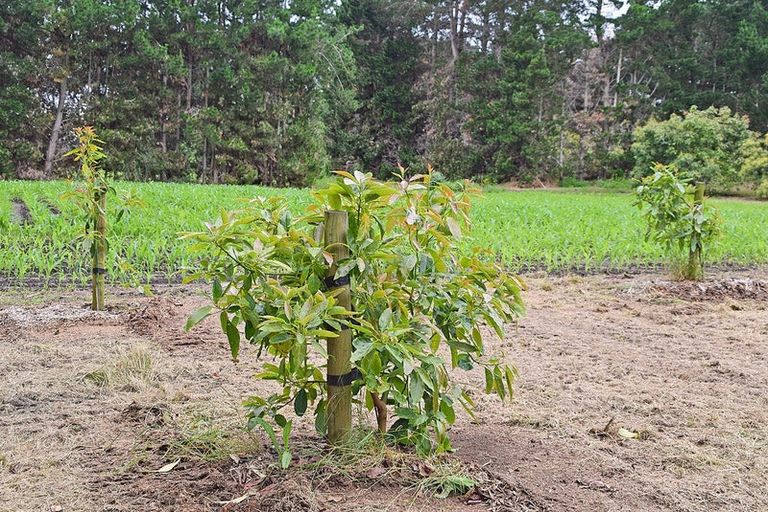 Photo of property in 1 Journeys End, Tapora, Wellsford, 0977