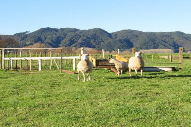 Photo of property in 1009 White Pine Bush Road, Taneatua, Whakatane, 3191