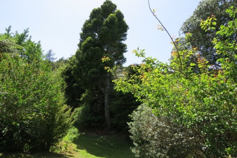 Photo of property in 46 James Street, Coromandel, 3506