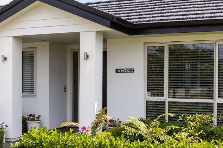 Photo of property in 19 Lochhead Street, Mahora, Hastings, 4120