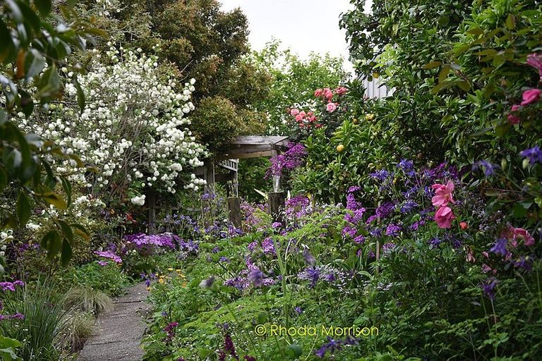 Photo of property in 229 Pahi Road, Pahi, Paparoa, 0571