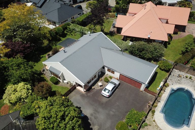 Photo of property in 81 Harrowfield Drive, Harrowfield, Hamilton, 3210