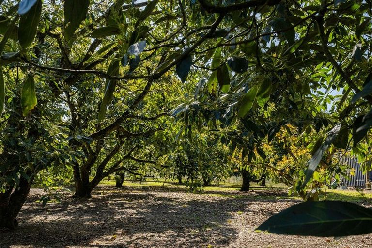 Photo of property in 55 Pukakura Road, Katikati, 3178