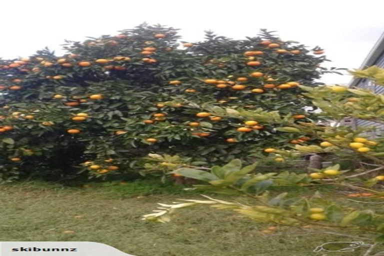 Photo of property in 50 Gorge Road, Maungaturoto, 0520