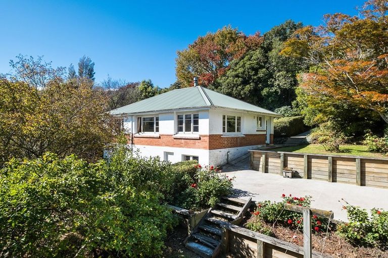 Photo of property in 119 Signal Hill Road, Opoho, Dunedin, 9010