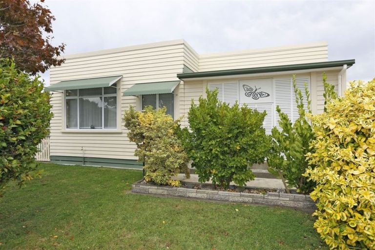 Photo of property in 417 Massey Street, Akina, Hastings, 4122