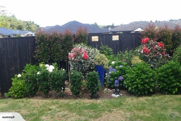 Photo of property in 17 Middlebrook Drive, Katikati, 3129