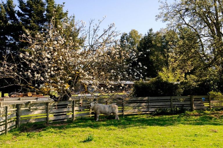 Photo of property in 64 Waihao Back Road, Waimate, 7979