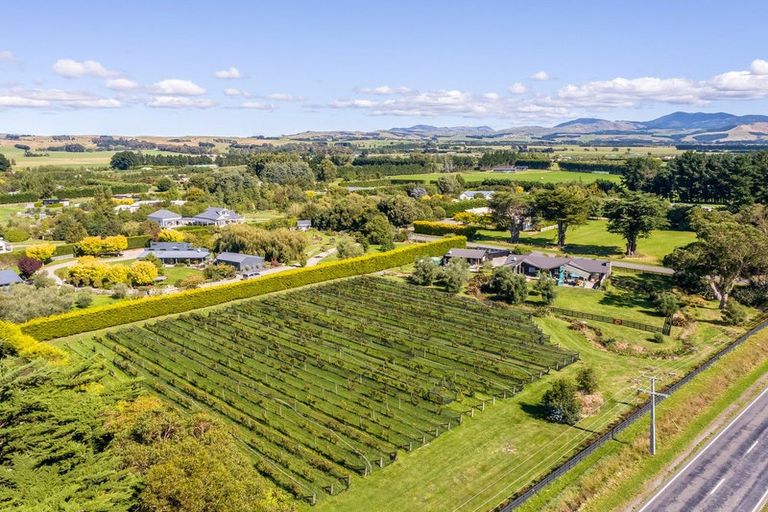 Photo of property in 1 Campbell Drive, Martinborough, 5711