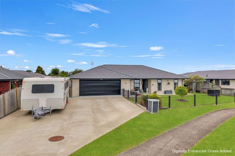 Photo of property in 63 Darlington Street, Ngatea, 3503