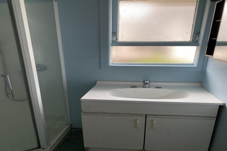 Photo of property in 20 Laurel Street, Mount Albert, Auckland, 1025