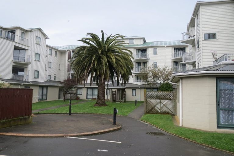 Photo of property in Palm Grove Apartments, 16/13d Palm Grove, Berhampore, Wellington, 6023