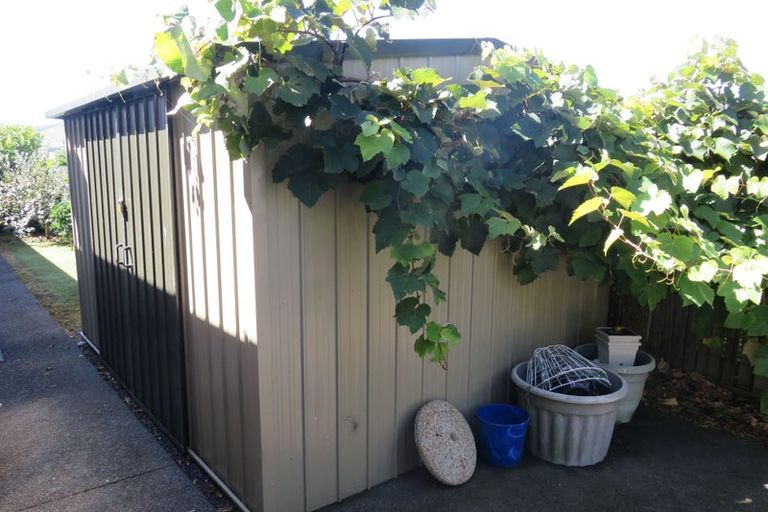 Photo of property in 11 Buchanan Street, Paeroa, 3600