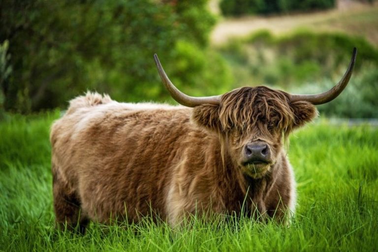 Photo of property in 45 Beach Road, Tirohanga, Opotiki, 3197