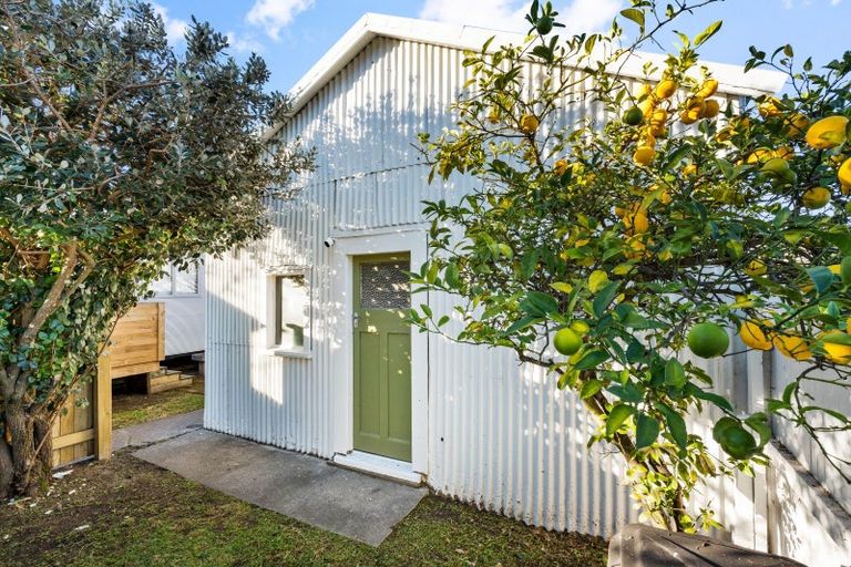 Photo of property in 48 Carnell Street, Napier South, Napier, 4110