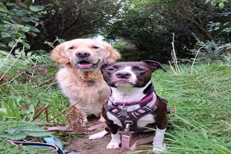 Photo of property in 26 Apuka Street, Brooklyn, Wellington, 6021