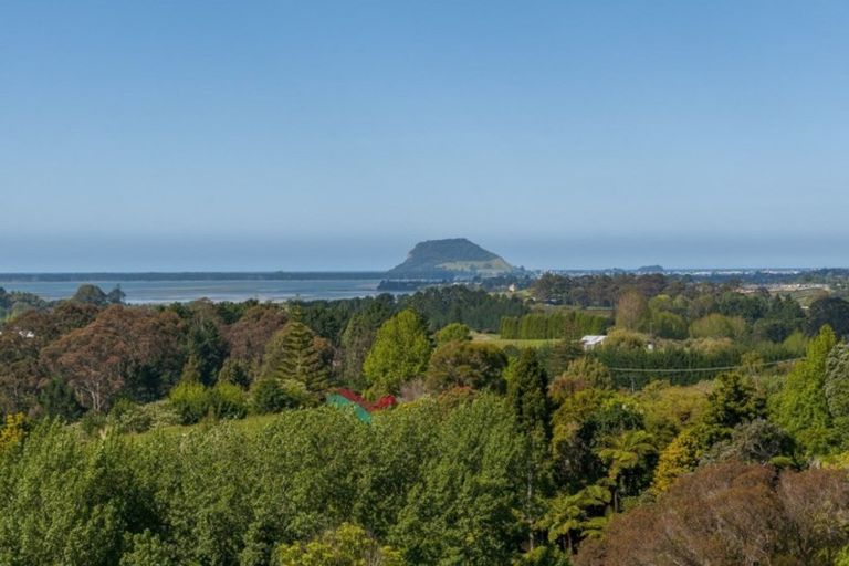 Photo of property in 140a Minden Road, Minden, Tauranga, 3176