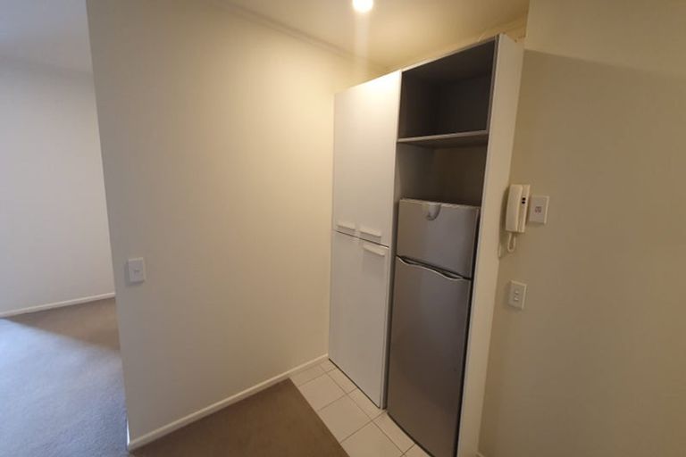 Photo of property in Luna Apartments, 1n/16 Burton Street, Grafton, Auckland, 1010