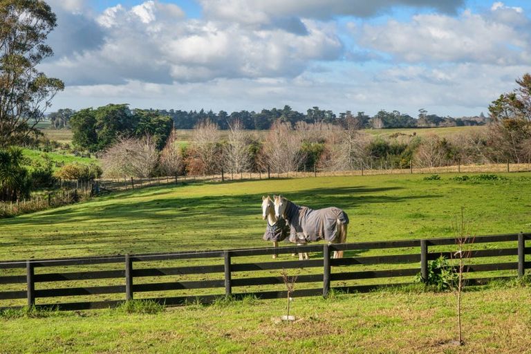 Photo of property in 440 Seagrove Road, Waiau Pa, Pukekohe, 2679