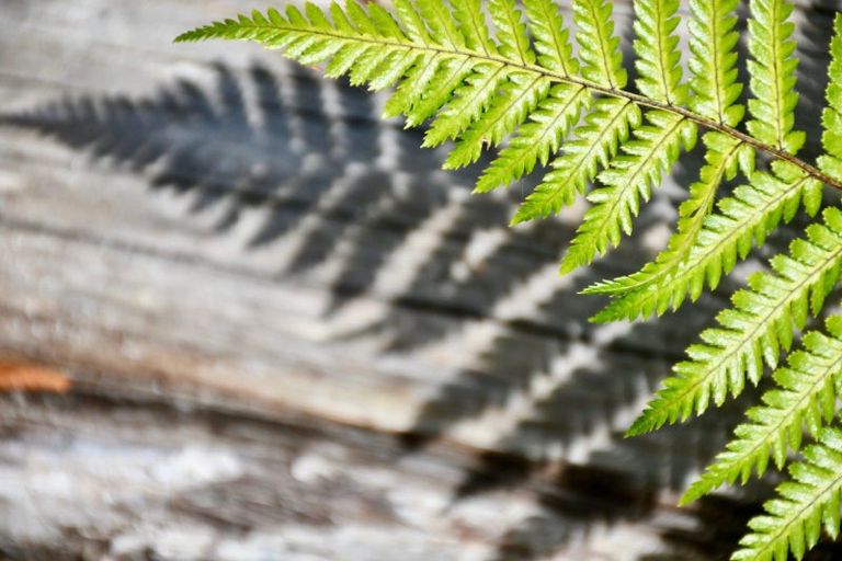 Photo of property in 76a Eco Place, Little Wanganui, Karamea, 7893