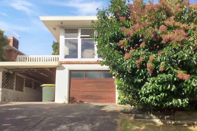 Photo of property in 20 Alton Avenue, Hillcrest, Auckland, 0627