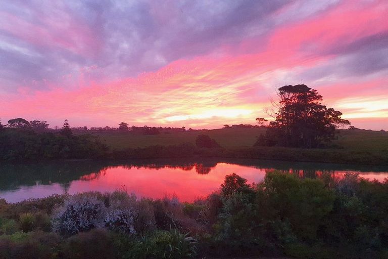 Photo of property in 88 Hayfield Way, Karaka, Papakura, 2113