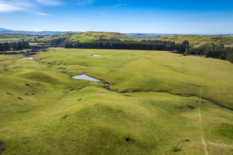 Photo of property in 1233 Kereru Road, Maraekakaho, Hastings, 4171
