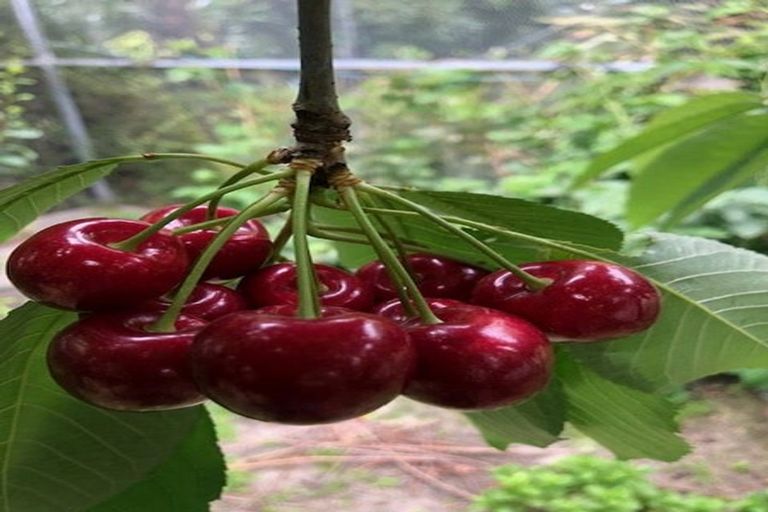 Photo of property in 132 Round Hill Road, Loburn, 7472