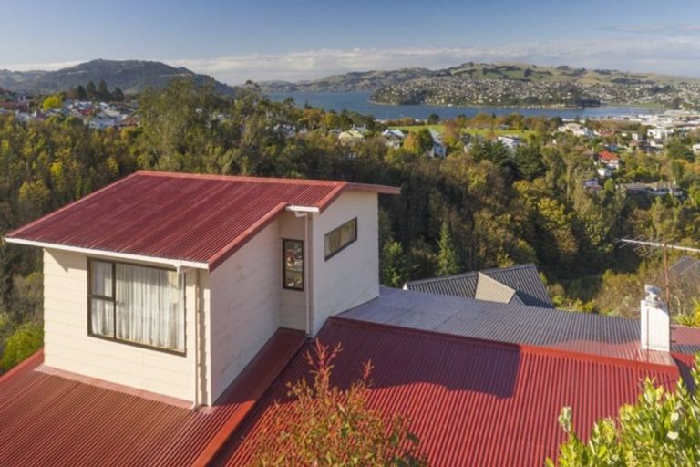 Photo of property in 12 Cross Street, Mornington, Dunedin, 9011