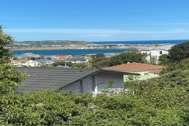 Photo of property in 17 Rakau Road, Hataitai, Wellington, 6021