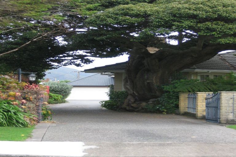 Photo of property in 9a Avalon Crescent, Avalon, Lower Hutt, 5011