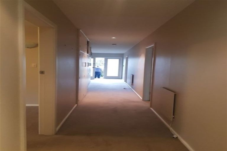 Photo of property in 7 Mcdougall Avenue, St Albans, Christchurch, 8014