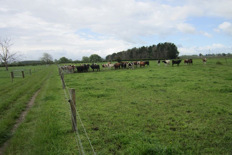 Photo of property in 411 Marychurch Road, Matangi, Hamilton, 3284