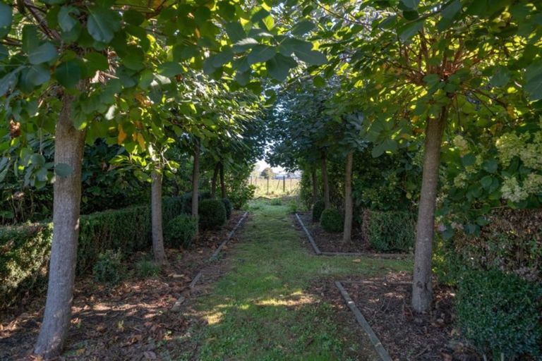 Photo of property in 92 No 8 Road Extn, Springdale, 3374