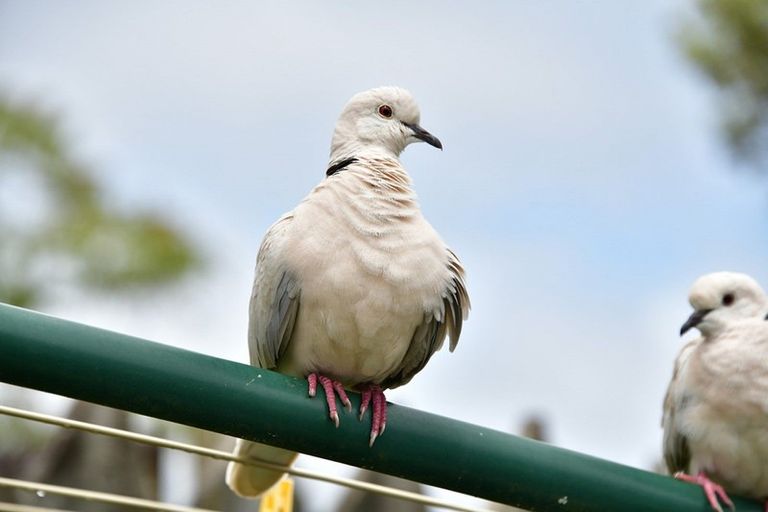 Photo of property in 516 Hibiscus Coast Highway, Hatfields Beach, Orewa, 0931