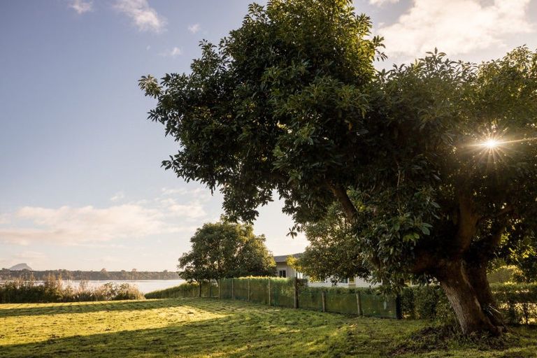 Photo of property in 206 Ranginui Road, Welcome Bay, Tauranga, 3175