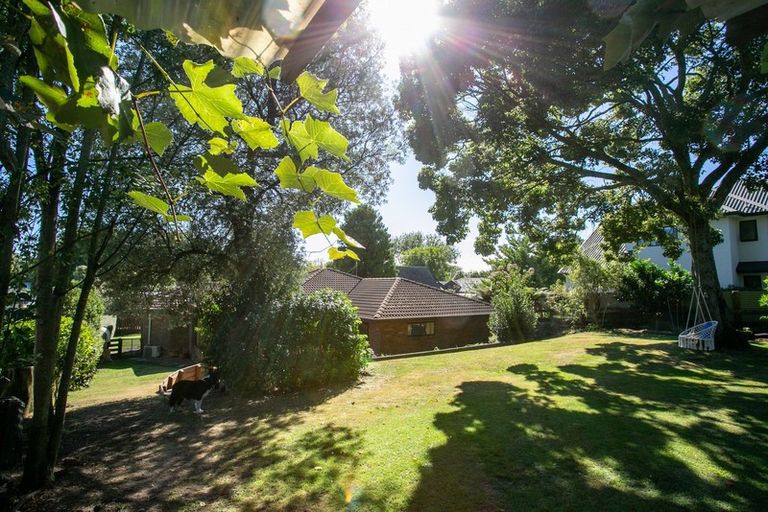 Photo of property in 70 Addison Street, Leamington, Cambridge, 3432