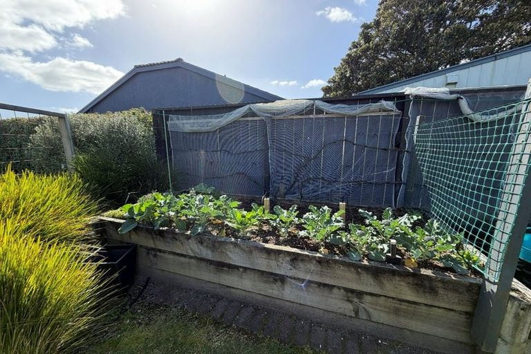 Photo of property in 20 Sunrise Avenue, Mount Maunganui, 3116
