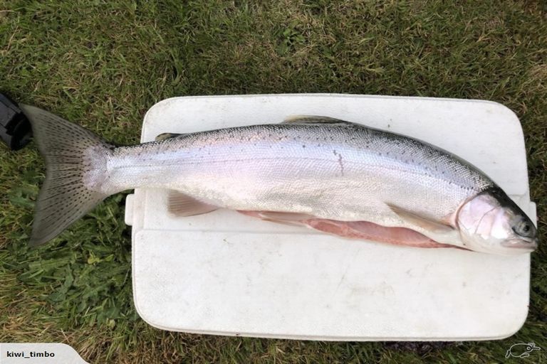 Photo of property in 7 Hart Place, Lake Coleridge, 7572