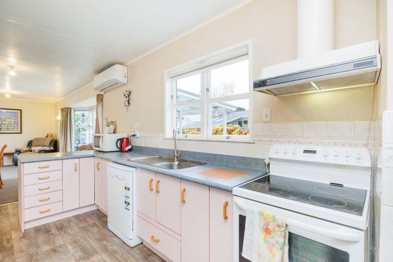 Photo of property in 101 Sherwill Street, Feilding, 4702