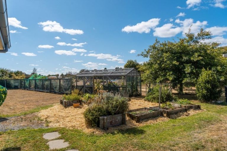 Photo of property in 672d Te Whiti Road, Te Whiti, Masterton, 5884