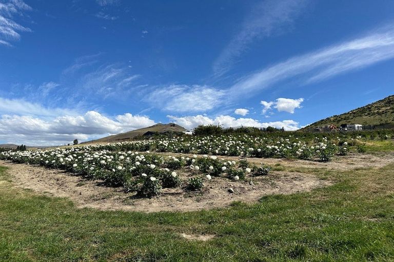 Photo of property in 218 Hawksburn Road, Nevis, Cromwell, 9384