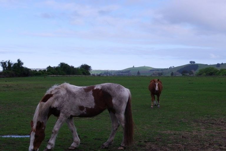 Photo of property in 38c Titoki Drive, Kaikoura Flat, Kaikoura, 7371