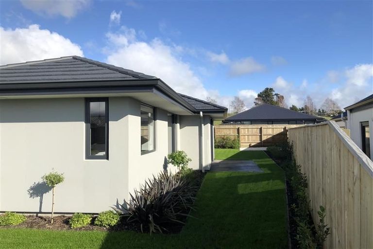 Photo of property in 19 Travers Avenue, Richmond, 7020