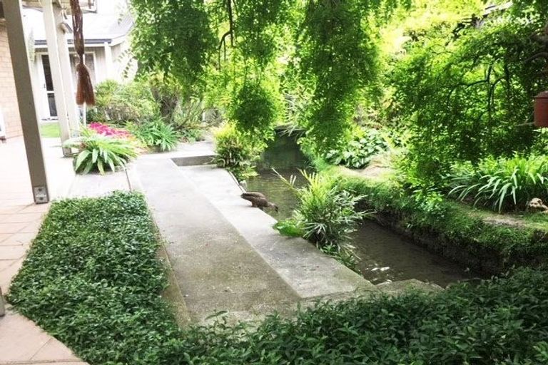 Photo of property in 275a Cranford Street, St Albans, Christchurch, 8052